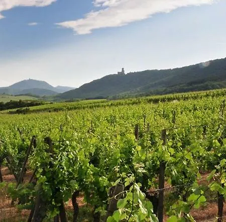 Bio New Bed & Breakfast Dieffenthal