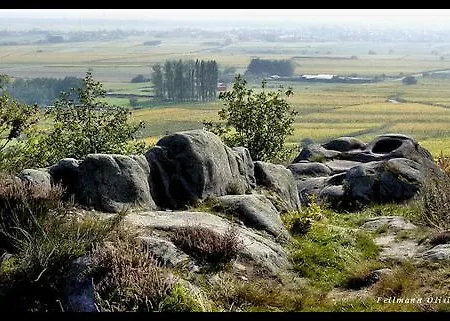 Bio New Bed & Breakfast Dieffenthal